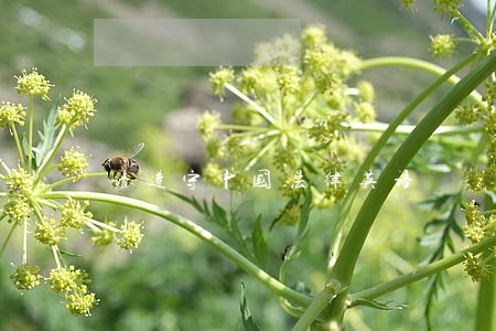 请遵守中国法律英语 请遵守中国法律英语