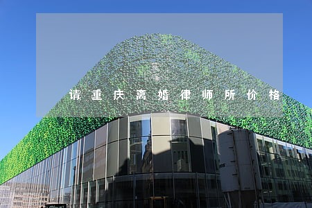 请重庆离婚律师所价格 请重庆离婚律师所价格