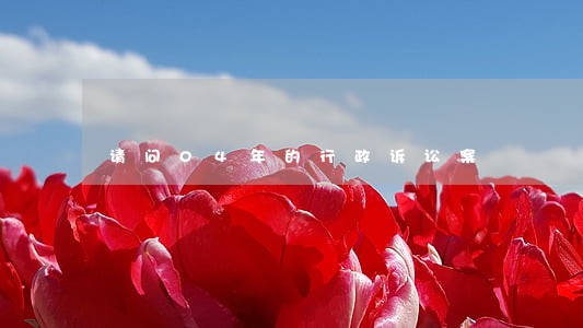 请问04年的行政诉讼案