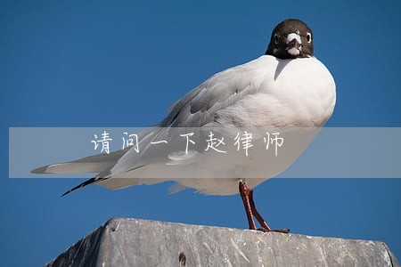 请问一下赵律师