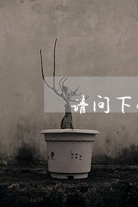 请问下我这样租出去违法吗 请问下我这样租出去违法吗