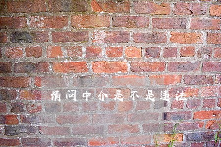 请问中介是不是违法 请问中介是不是违法