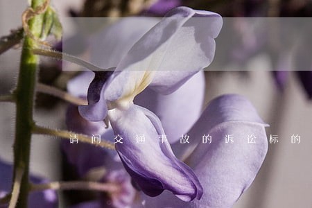 请问交通事故的诉讼标的该写什么 请问交通事故的诉讼标的该写什么