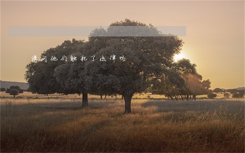 请问他们触犯了法律吗 请问他们触犯了法律吗
