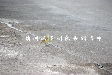 请问以下刑法条例当中 请问以下刑法条例当中