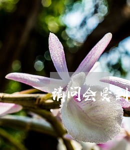 请问会受到什么法律的惩罚 请问会受到什么法律的惩罚