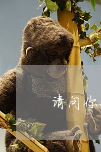 请问你们是林州市的律师么 请问你们是林州市的律师么