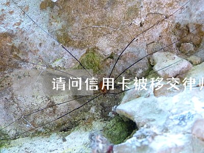 请问信用卡被移交律师事务所 请问信用卡被移交律师事务所