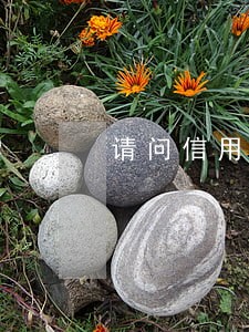 请问信用卡逾期了一天了怎么办 请问信用卡逾期了一天了怎么办