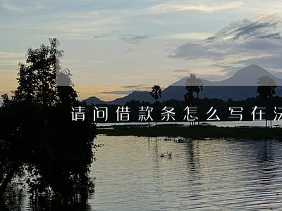 请问借款条怎么写在法律上生效 请问借款条怎么写在法律上生效