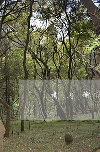 请问偷拍者由于违法 请问偷拍者由于违法
