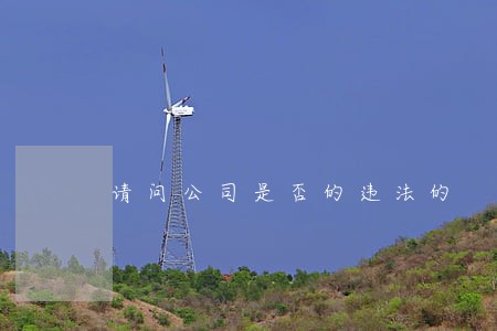 请问公司是否的违法的