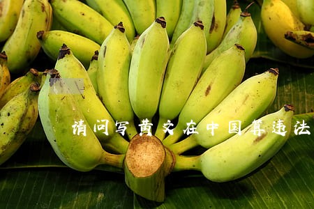 请问写黄文在中国算违法乱纪吗 请问写黄文在中国算违法乱纪吗
