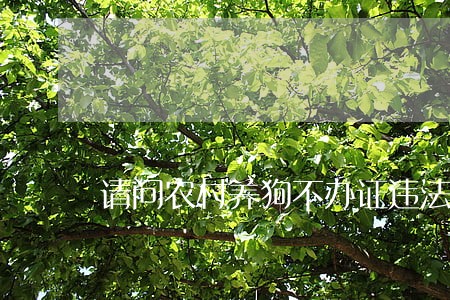 请问农村养狗不办证违法吗 请问农村养狗不办证违法吗