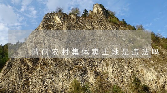 请问农村集体卖土地是违法吗 请问农村集体卖土地是违法吗