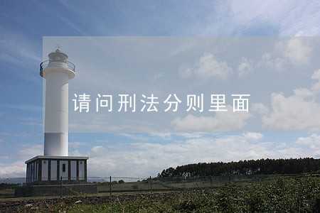 请问刑法分则里面 请问刑法分则里面