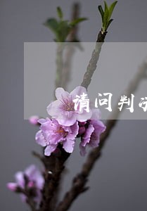 请问判决前原告将债权转让违法吗 请问判决前原告将债权转让违法吗