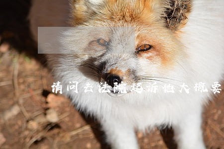 请问去法院起诉他大概要花多少钱 请问去法院起诉他大概要花多少钱