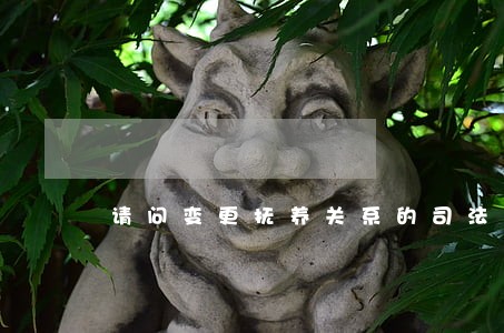 请问变更抚养关系的司法解释 请问变更抚养关系的司法解释
