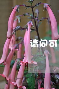 请问可以用法律解决吗 请问可以用法律解决吗