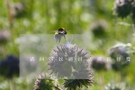 请问可以通过法律途径要回吗 请问可以通过法律途径要回吗