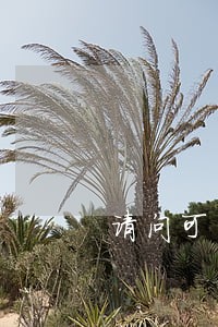 请问可否要求律师退还部分律师费 请问可否要求律师退还部分律师费
