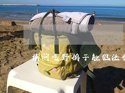 请问吃野鸽子触犯法律吗 请问吃野鸽子触犯法律吗