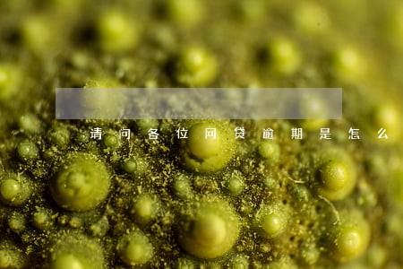请问各位网贷逾期是怎么处理的 请问各位网贷逾期是怎么处理的