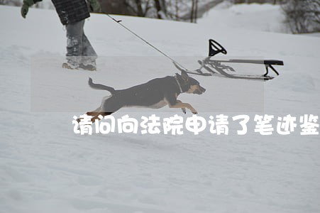请问向法院申请了笔迹鉴定 请问向法院申请了笔迹鉴定