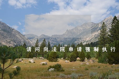 请问向法院申请强制执行 请问向法院申请强制执行