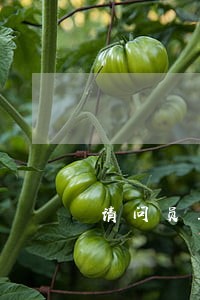 请问员工承担店里盘点亏损违法吗 请问员工承担店里盘点亏损违法吗