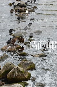 请问哪家网贷逾期不爆通讯录