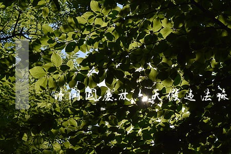 请问国庆放六天假违法嘛 请问国庆放六天假违法嘛