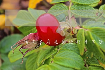 请问在房屋旁边打井算违法吗 请问在房屋旁边打井算违法吗