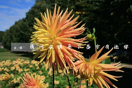 请问在诱导下签字有法律效力吗 请问在诱导下签字有法律效力吗