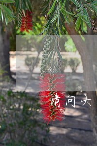 请问大家怎么查个人被法院起诉 请问大家怎么查个人被法院起诉