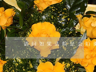 请问如果法院是会拍卖公司厂房吗 请问如果法院是会拍卖公司厂房吗