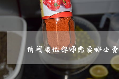 请问委托律师需要哪些费用