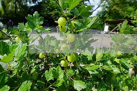 请问平安银行逾期 请问平安银行逾期
