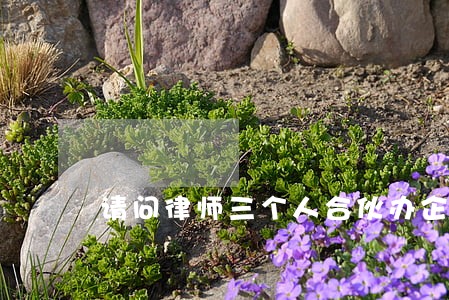 请问律师三个人合伙办企业 请问律师三个人合伙办企业