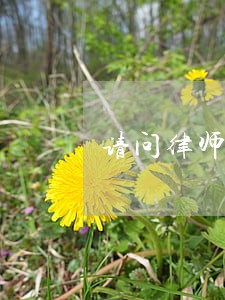 请问律师三期是什么样的标准 请问律师三期是什么样的标准