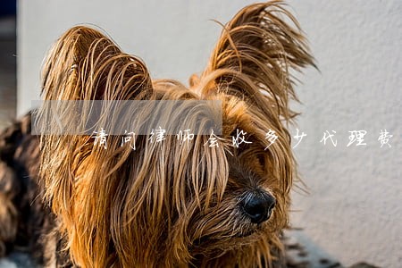 请问律师会收多少代理费 请问律师会收多少代理费
