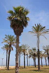 请问律师借款收据上写有短期借款