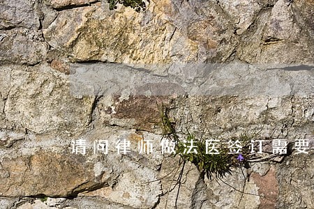 请问律师做法医签订需要哪些手续 请问律师做法医签订需要哪些手续