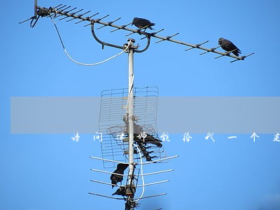 请问律师能给我一个建议吗 请问律师能给我一个建议吗