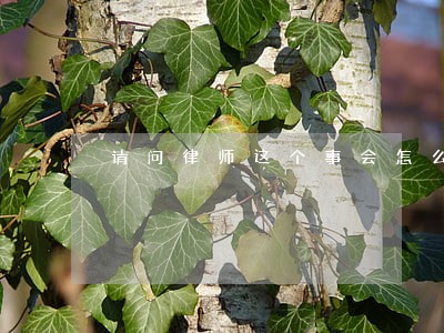请问律师这个事会怎么判 请问律师这个事会怎么判