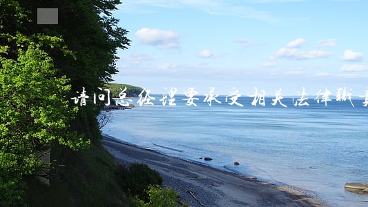 请问总经理要承受相关法律职责吗 请问总经理要承受相关法律职责吗