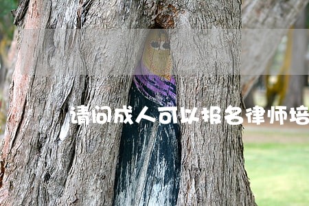 请问成人可以报名律师培训班呢 请问成人可以报名律师培训班呢