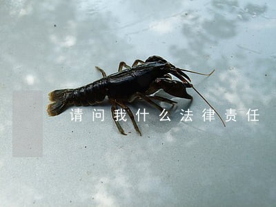 请问我什么法律责任 请问我什么法律责任