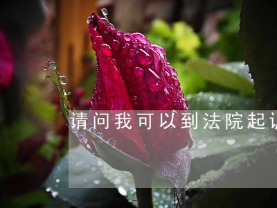 请问我可以到法院起诉他吗 请问我可以到法院起诉他吗